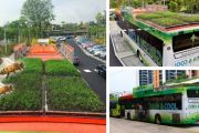 Singapur instala jardines en techos de autobuses que purifican el aire y ayudan a polinizadores